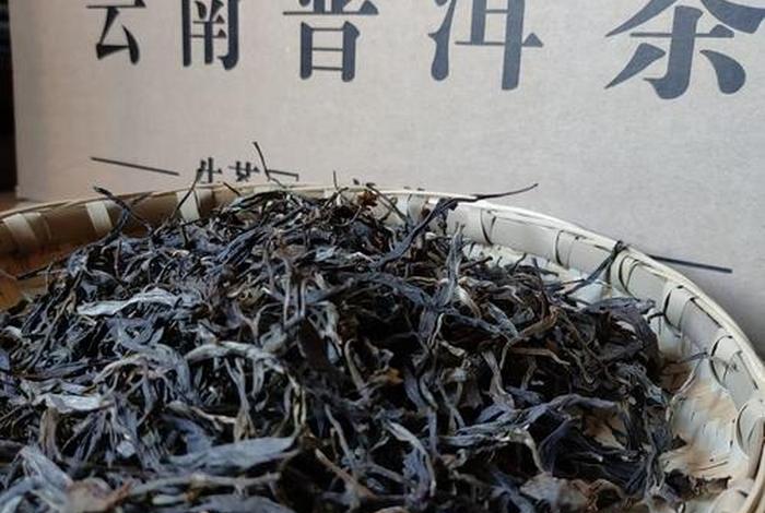 生活地带 普洱,普洱生活方式 生活地带 普洱,普洱生活方式