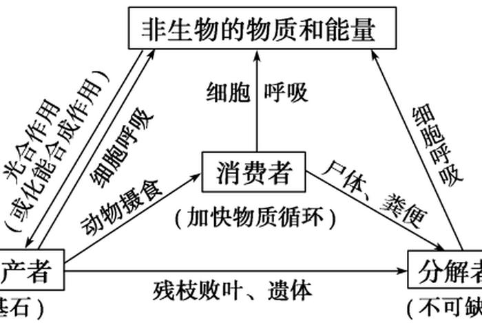 生物与生活的关系图（生物和生活的联系）