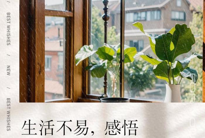 关于生活的经典语录 - 关于生活的经典语录短句