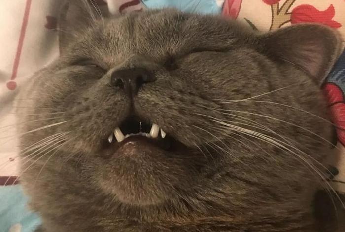 生活表情包 不易(生活不易的表情) 生活表情包 不易(生活不易的表情)