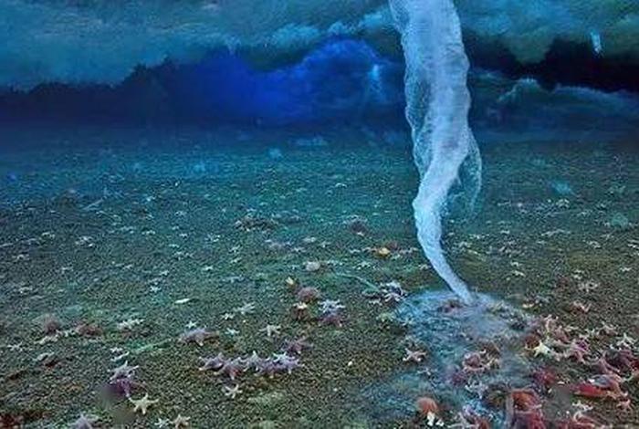 生活中的地理自然景观;生活中的自然地理现象 生活中的地理自然景观;生活中的自然地理现象