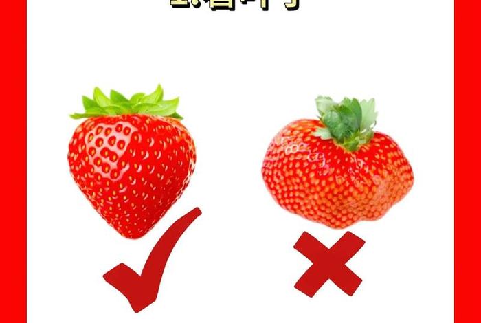 生活窍门妙招怎样挑水果(怎么挑水果最好吃) 生活窍门妙招怎样挑水果(怎么挑水果最好吃)