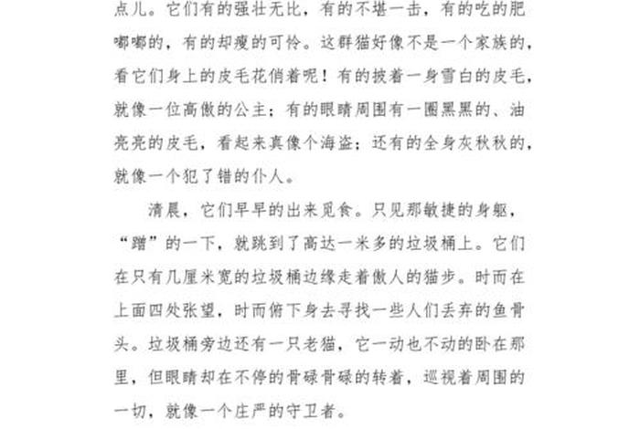 流浪猫的生活作文400字,流浪猫的生活作文400字怎么写 流浪猫的生活作文400字,流浪猫的生活作文400字怎么写