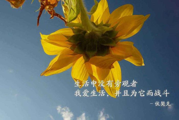 生活正能量图片横屏高清、生活 正能量