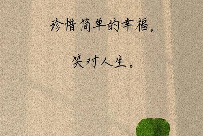 精致生活的句子简短 - 精致生活经典语录