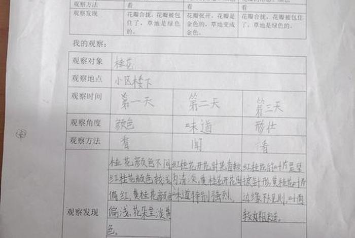 生活观察记录表10篇；生活观察记录表10篇怎么写