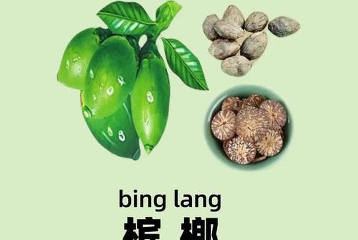 生活犹如食槟榔(生活如同) 生活犹如食槟榔(生活如同)