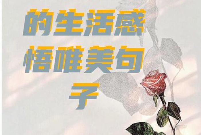 生活本不美好、生活本不美好,生活本不美好,感悟人生沧桑 生活本不美好、生活本不美好,生活本不美好,感悟人生沧桑