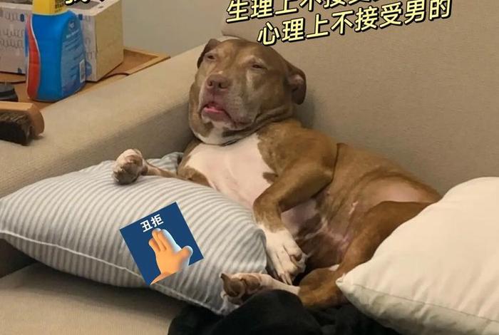 生活 我表情包图片大全 - 生活我表情包什么意思 生活 我表情包图片大全 - 生活我表情包什么意思