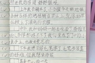 二年级生活日记100字大全 小学二年级的生活日记50字