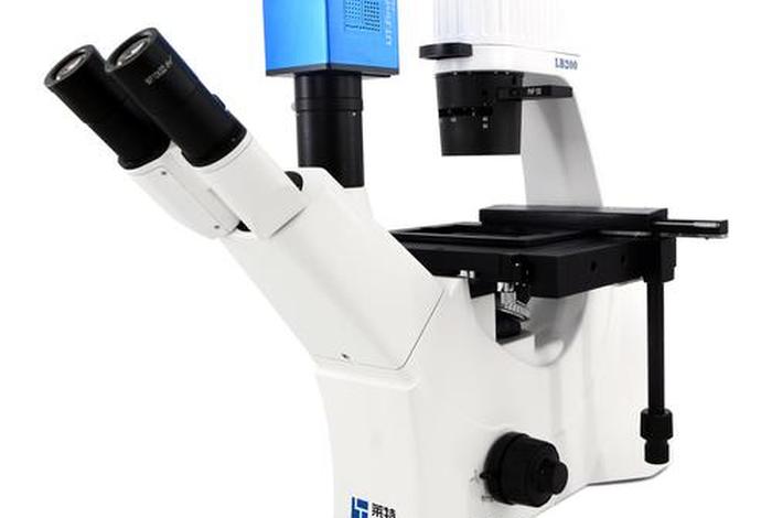 超生活体显微镜检查 - 超生活体显微镜检查与超生生物的区别 超生活体显微镜检查 - 超生活体显微镜检查与超生生物的区别