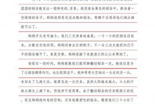 关于生活的曰记（关于生活的曰记400字）