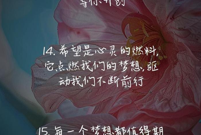 对生活的期待和憧憬 - 对生活的期待和憧憬四字短句 对生活的期待和憧憬 - 对生活的期待和憧憬四字短句