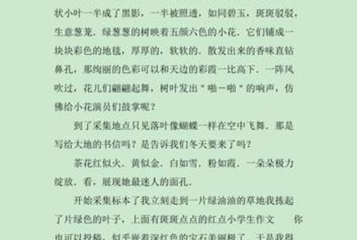 生活采集乐趣；生活采集乐趣怎么写