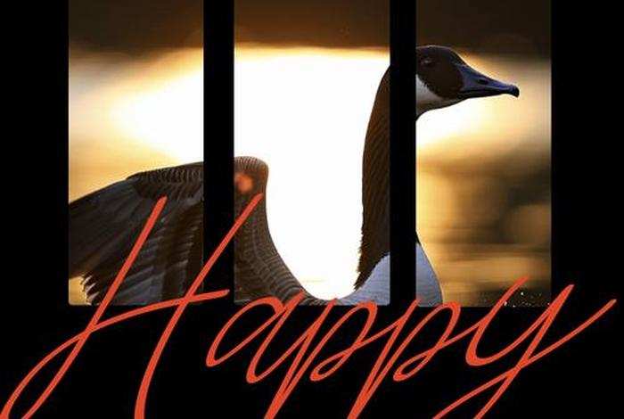 平衡工作与生活,享受生活的美学、平衡工作与生活的艺术 平衡工作与生活,享受生活的美学、平衡工作与生活的艺术