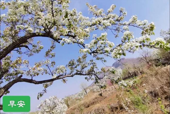 生活就是用一分的甜冲淡九分的苦,生活就是用一两分的甜,冲淡那七八分的苦 生活就是用一分的甜冲淡九分的苦,生活就是用一两分的甜,冲淡那七八分的苦