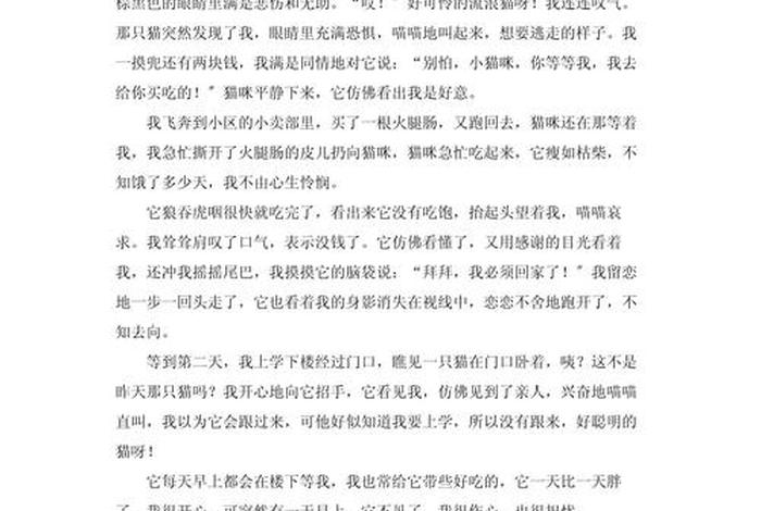 流浪猫的生活日常加说明方法,流浪猫的生活作文 流浪猫的生活日常加说明方法,流浪猫的生活作文