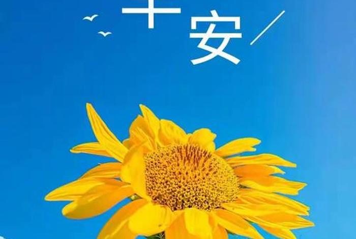 早安生活图片 - 早安生活图片带字 早安生活图片 - 早安生活图片带字