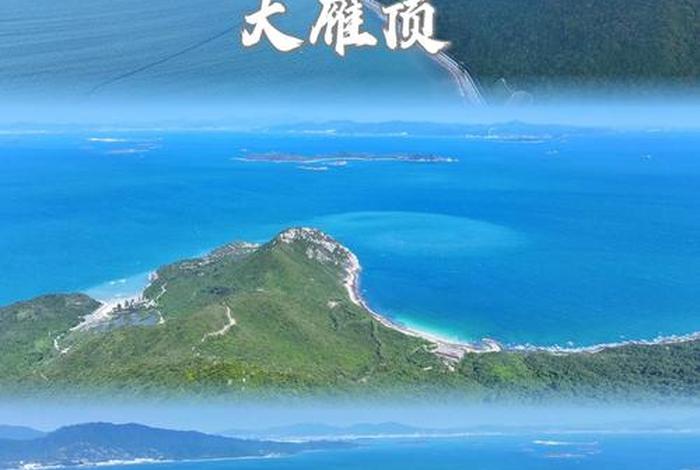 深圳生活如何(深圳怎么生活) 深圳生活如何(深圳怎么生活)