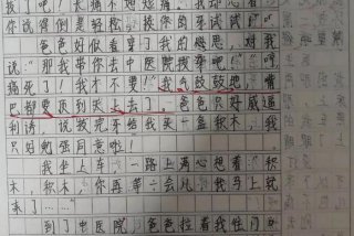 不同的生活方式作文范文 不一样的生活方式作文