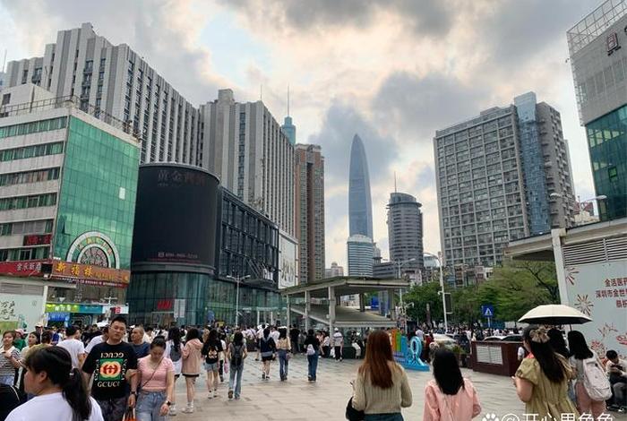 看城市生活、我想看城市生活 看城市生活、我想看城市生活