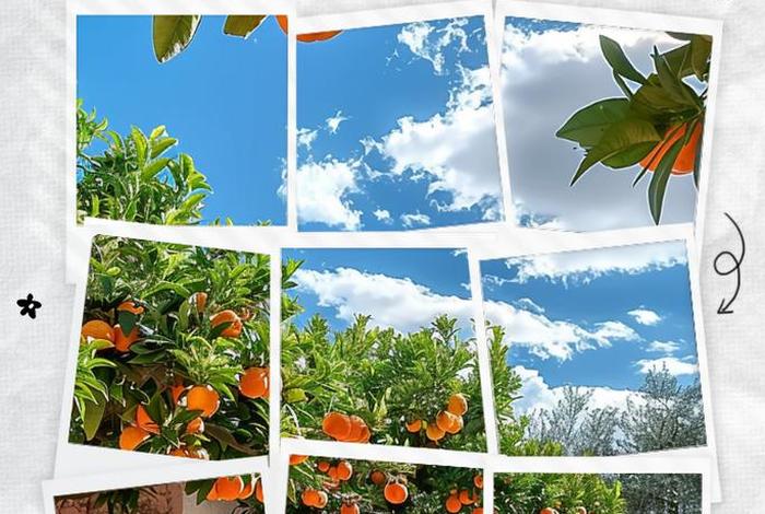 眼里有美,心中有爱,生活有光,眼里有美,心中有爱,生活有光的句子 眼里有美,心中有爱,生活有光,眼里有美,心中有爱,生活有光的句子