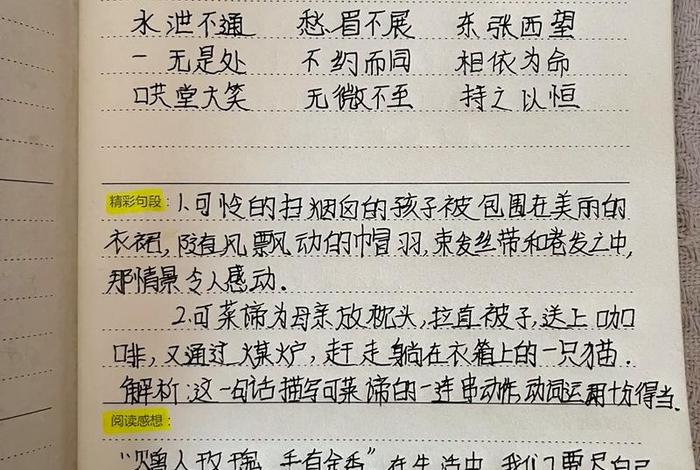 生活与读书笔记 生活感悟阅读笔记 生活与读书笔记 生活感悟阅读笔记