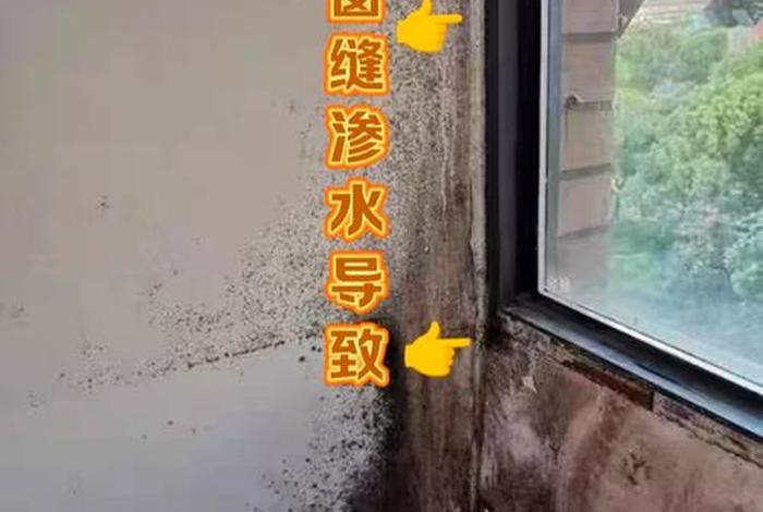 生活阳台砖缝渗水的解决方法、阳台瓷砖缝隙怎么处理 生活阳台砖缝渗水的解决方法、阳台瓷砖缝隙怎么处理