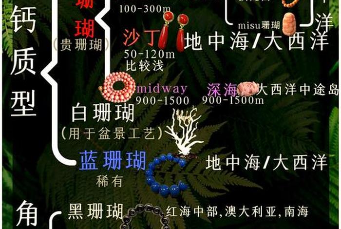 珊瑚生活在哪里,珊瑚是生活在浅海还是深海 珊瑚生活在哪里,珊瑚是生活在浅海还是深海