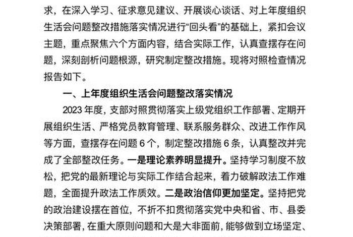 严格组织生活方面整改措施2024,组织生活严格规范 严格组织生活方面整改措施2024,组织生活严格规范