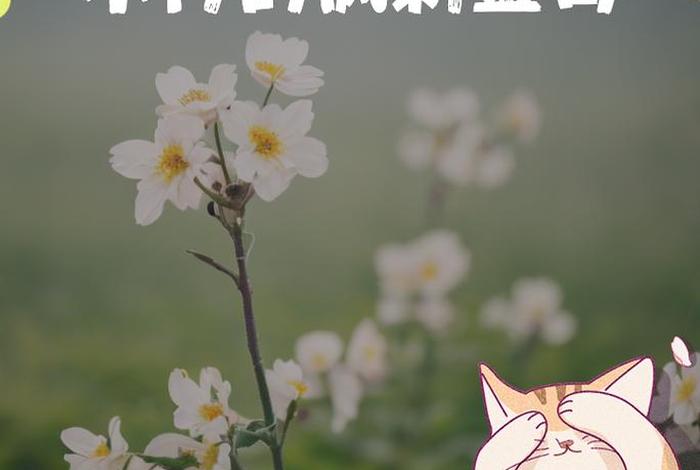 不会生活的男人、一个不会生活的男人 不会生活的男人、一个不会生活的男人