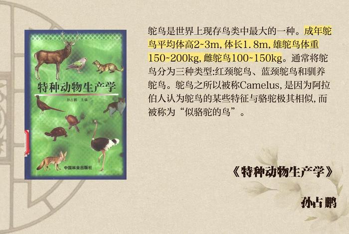 鸵鸟生活环境要求 - 鸵鸟生活环境要求有哪些