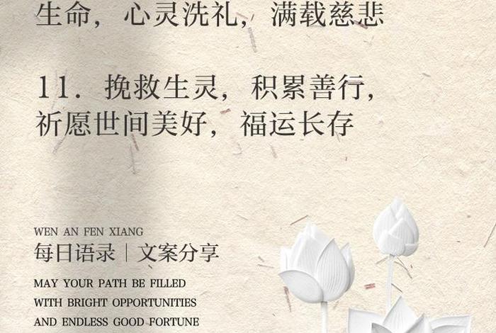 放生活动主题 关于放生活动后的文案