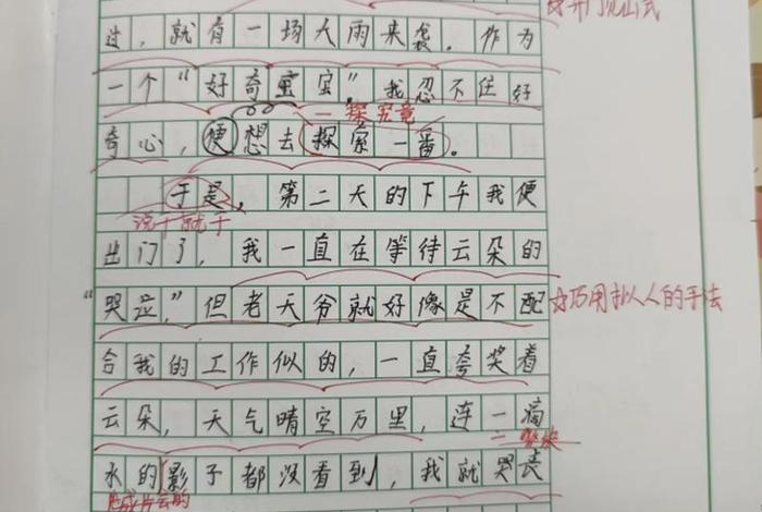 生活中有哪些现象引起了你的注意，生活中哪些现象或问题引起了你的注意作文