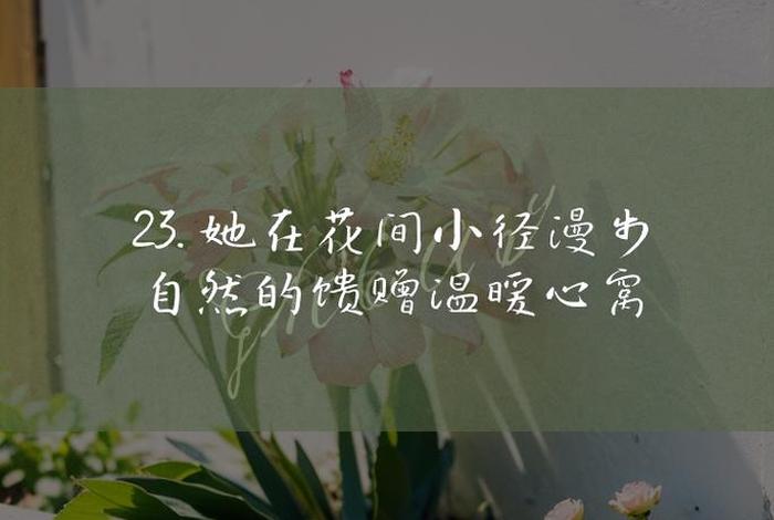 悠闲自在的生活图片 悠闲自在的生活美句子