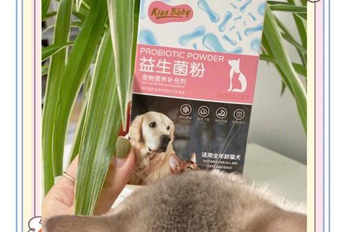 爱猫生活吧 爱猫生活吧益生菌 爱猫生活吧 爱猫生活吧益生菌