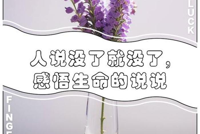 生命与生活感悟(生命与人生的感悟) 生命与生活感悟(生命与人生的感悟)