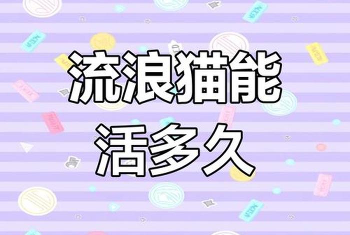 流浪猫的平均寿命;流浪猫的寿命平均来说有多少年? 流浪猫的平均寿命;流浪猫的寿命平均来说有多少年?