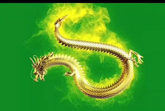 龙在那里生活,龙在哪里生活视频 龙在那里生活,龙在哪里生活视频