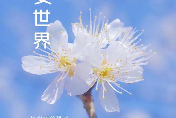 有冲劲的正能量句子 有冲劲的正能量句子早上