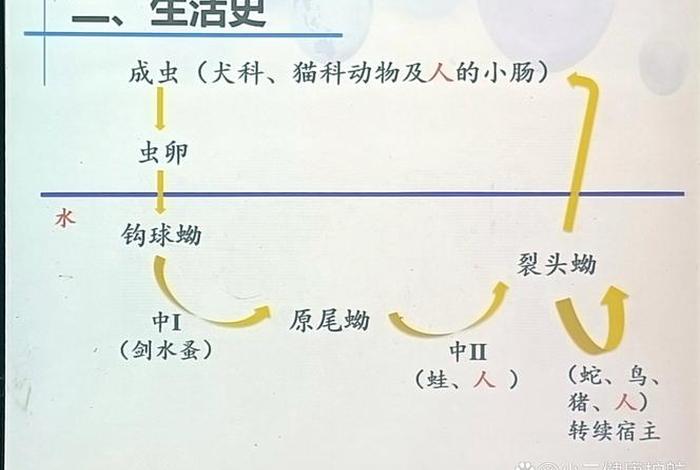 寄生生活的环境条件、寄生生活的环境条件包括 寄生生活的环境条件、寄生生活的环境条件包括