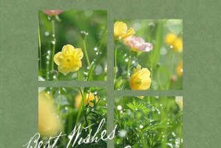 享受美好生活的唯美句子；享受美好生活的说说