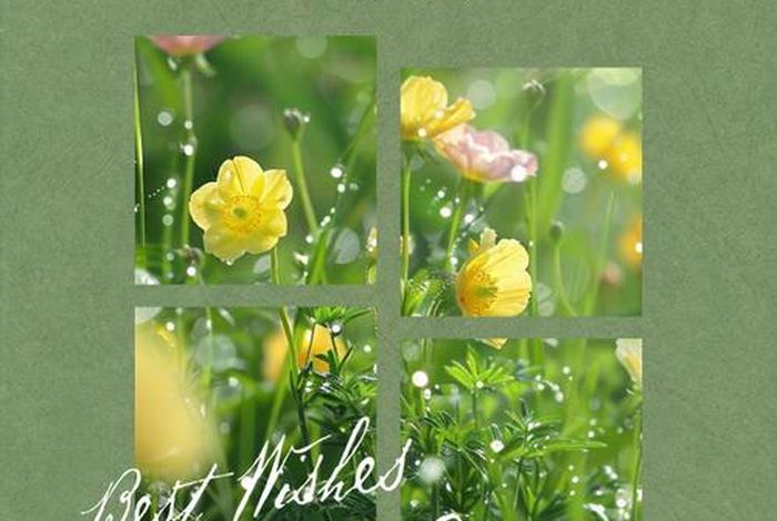 享受美好生活的唯美句子;享受美好生活的说说 享受美好生活的唯美句子;享受美好生活的说说