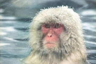 《生活》杂志英文 - 生活杂志是什么