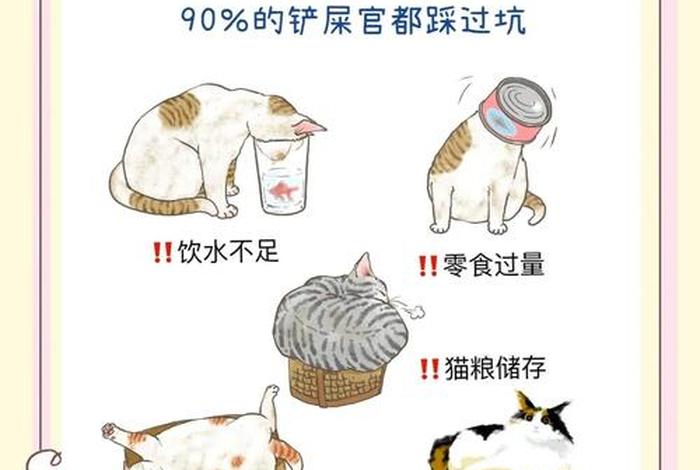 爱猫生活游戏 - 爱猫生活游戏中怎么给猫喂食