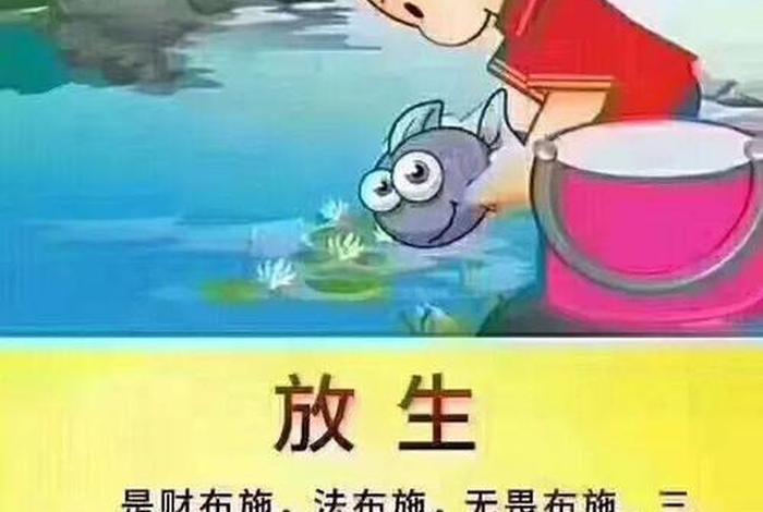 放生活动流程,放生活动宣传语 放生活动流程,放生活动宣传语