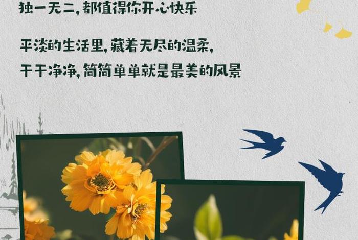 平淡的生活中发现细碎的美好、平淡生活里的一些小美好