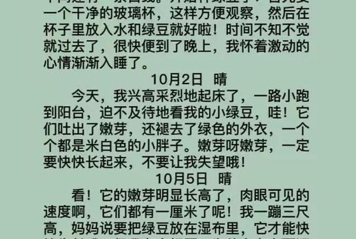 观察生活日记200个字，观察生活日记400字大全