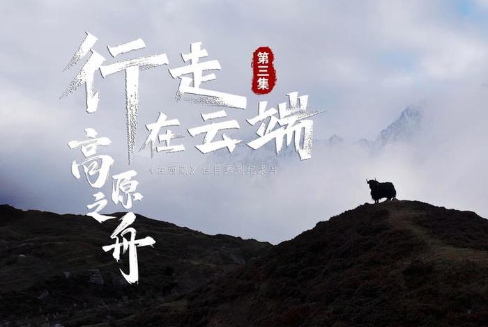 云端生活纪录片 - 云端生活纪录片在线观看 云端生活纪录片 - 云端生活纪录片在线观看