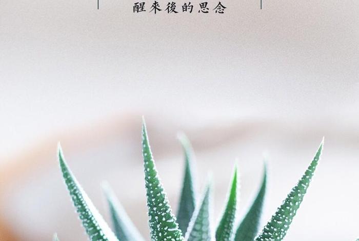 早安生活图片 - 早安生活图片带字 早安生活图片 - 早安生活图片带字